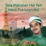 Owais Raza Chishti