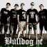 Bulldog HC