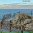 尔玛豪鹰