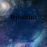 Hybridus