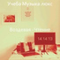 Учеба Музыка люкс