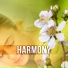 Healing Meditation Zone