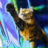 FUZZ
