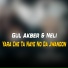 Gul Akber, Neli