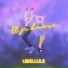 Libellule