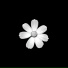 whitelight