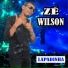 Zé Wilson