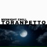 Lofijazzsoul, Toranpetto
