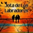 Los Incateños, Julio Miguel