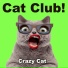 Crazy Cat