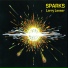 Larry Lesser
