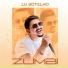 Lu Botelho