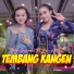 Niken Salindri feat. Lala Atila
