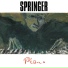 Mark Springer