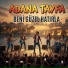Adana Tayfa