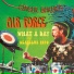 Ginger Baker's Air Force