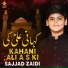 Sajjad Zaidi