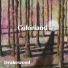 Drakewood