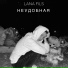 LANA FILS
