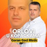 Goran Goci Ristic