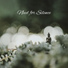 Ensemble de Musique Zen Relaxante