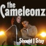 The Cameleonz