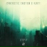 Synergetic Emotion, Kurtt