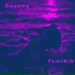 TemiRiS
