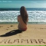 Alamar