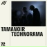 Tamanoir