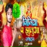 Brijesh Rock
