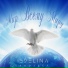 Evelina Project