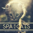 Spa Life,Relax for Life