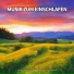 Ruhige Musik, Entspannungsmusik, Schlafmusik