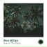 Sue Allan
