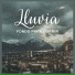 Sonidos de lluvia y ruido de fondo
