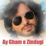Tanveer Anjum
