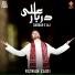 Rizwan Zaidi