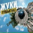 Жуки