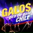 Los Galos
