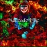 MazzodeLLic