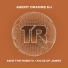 Agent Orange DJ