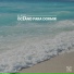 Bruit De La Mer