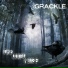 Grackle