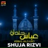 Shuja Rizvi