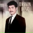 Taşkın Dinç