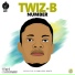 Twiz-B