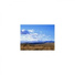 Mindfulness Healing Sleep BGM Project