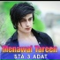 Menawal Tareen