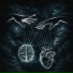 Prinkal G